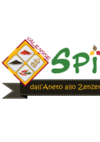 Realizzazione di logo